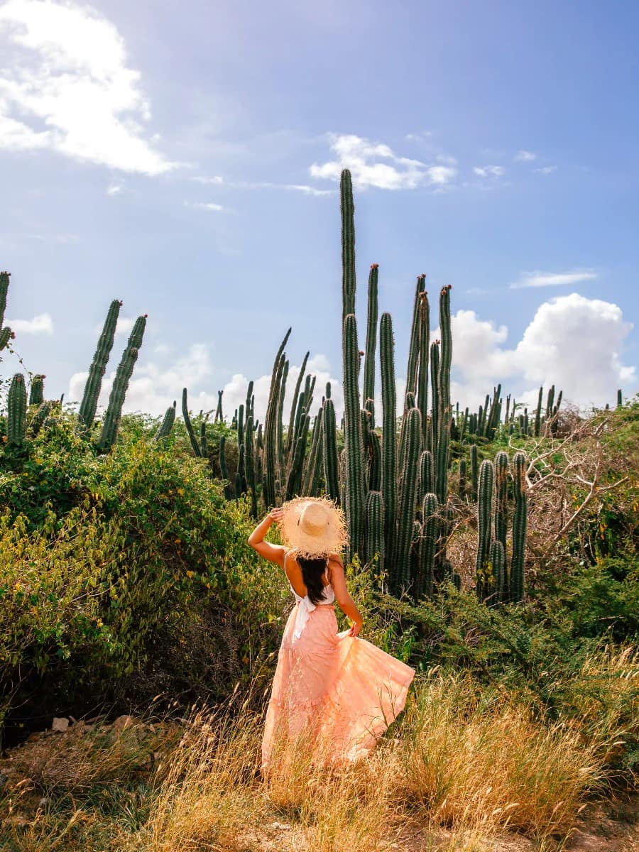 Arikok National Park, Aruba