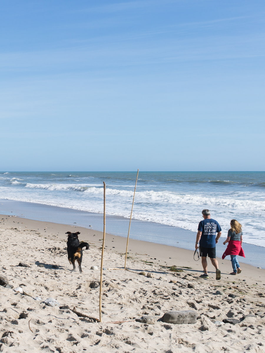 Arroyo Burro Beach County Park, Santa Barbara
