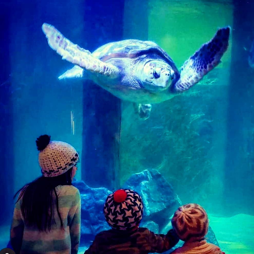 Atlantic City Aquarium