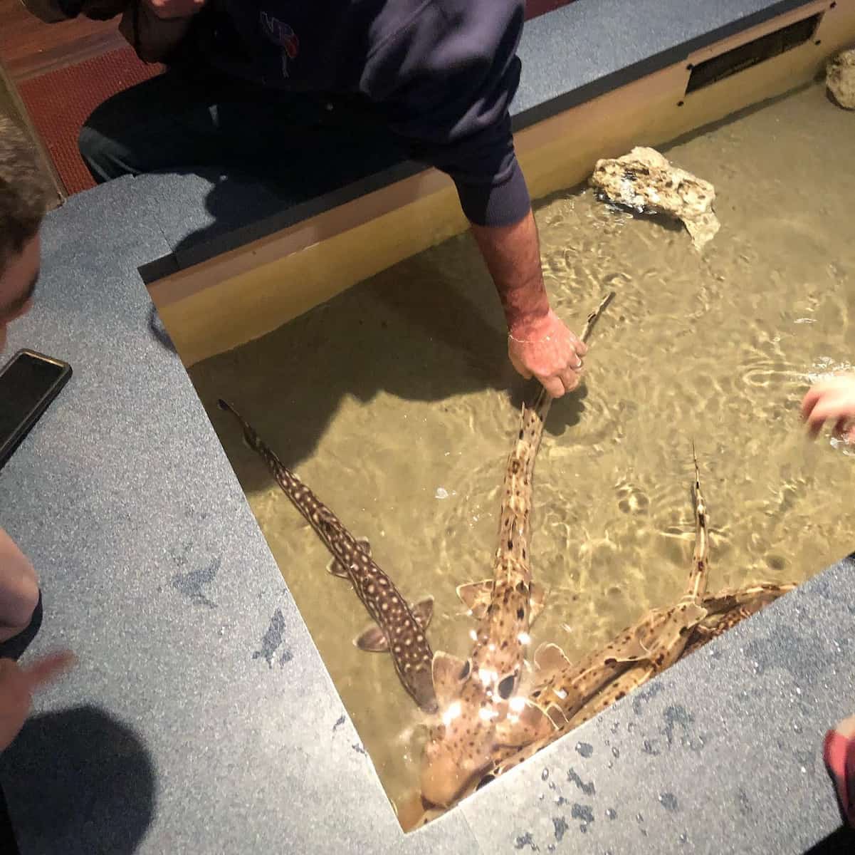 Atlantic City Aquarium