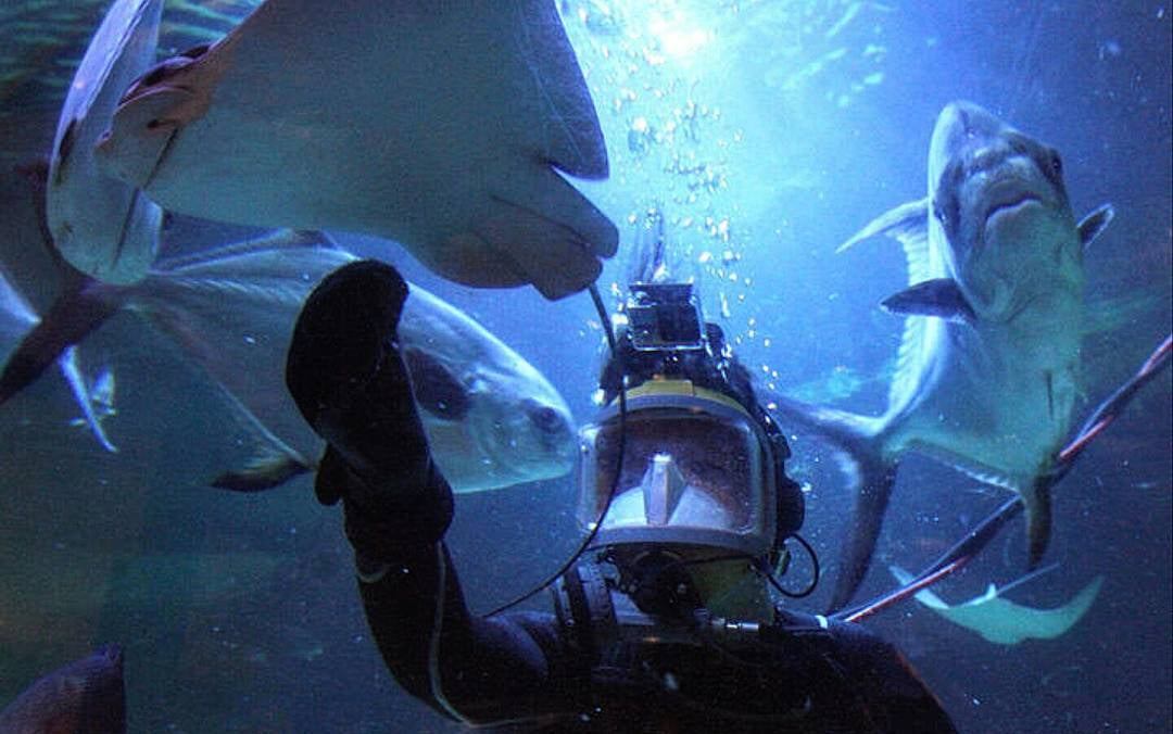 Atlantic City Aquarium