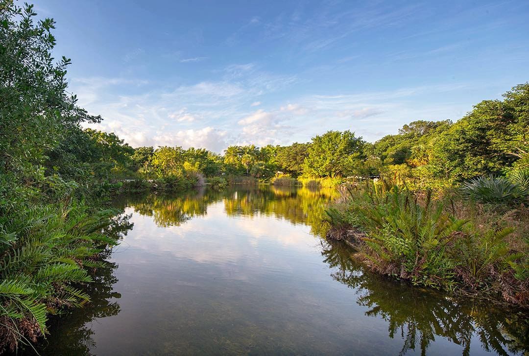Autumn in Key West Parks