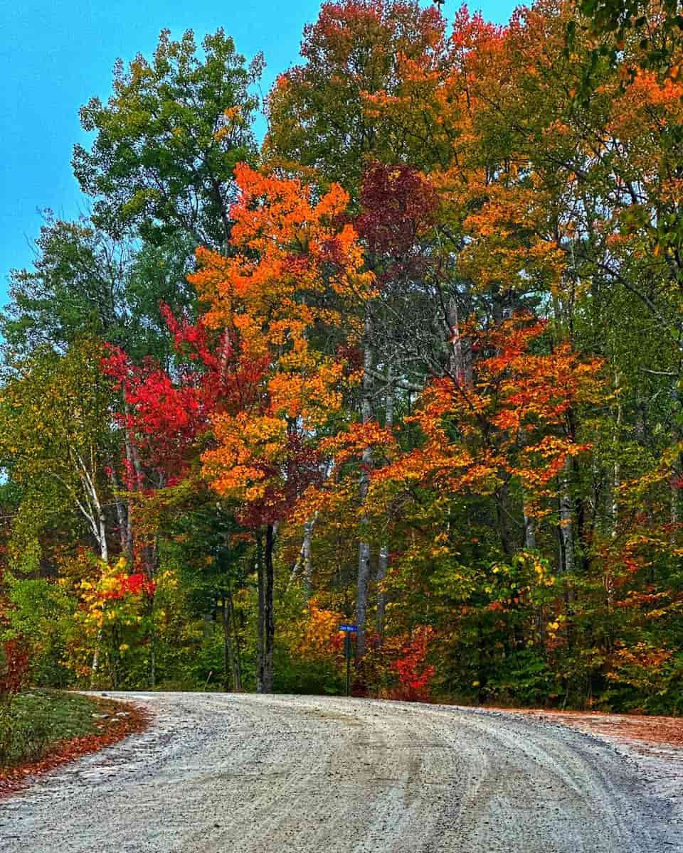 Autumn in Maine