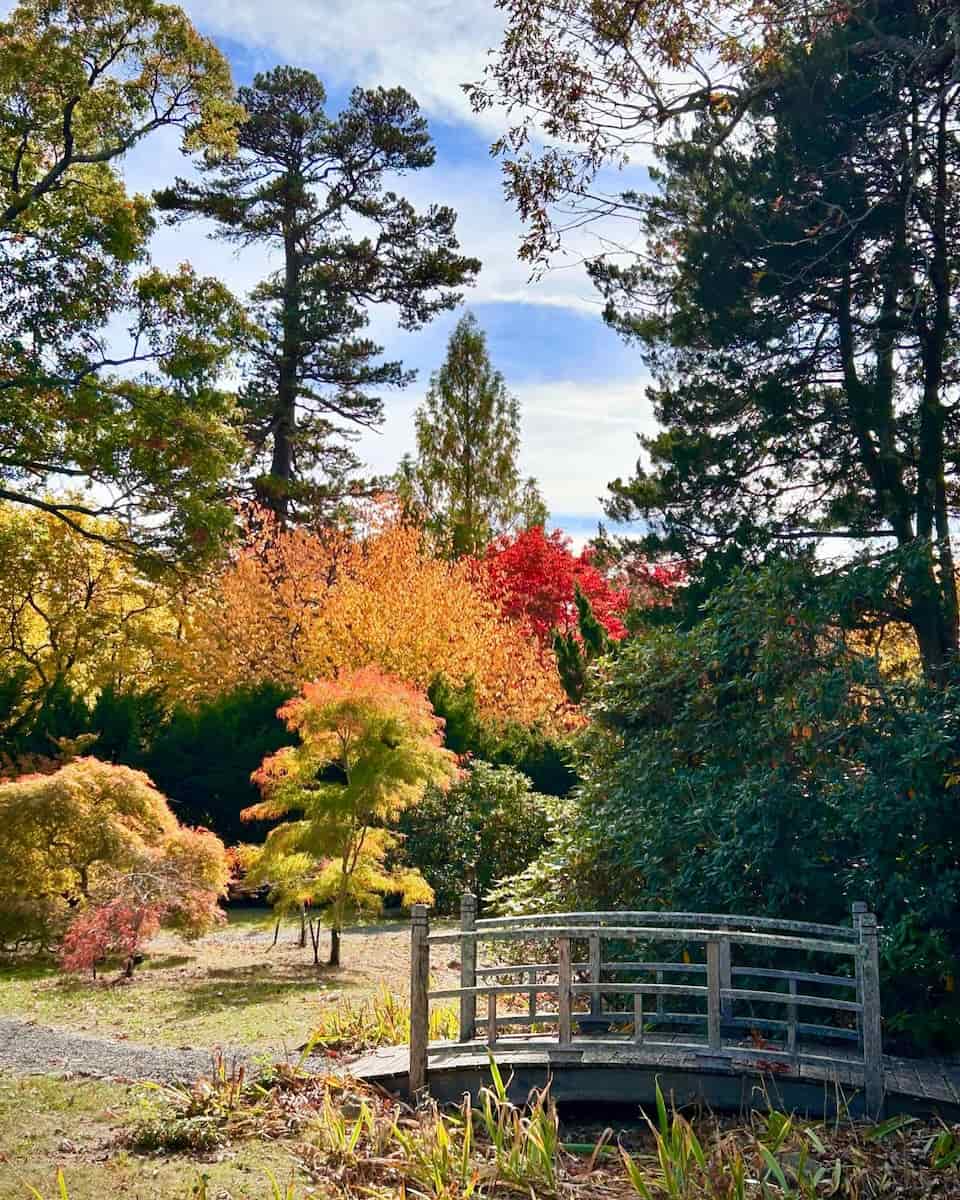 Autumn in New Jersey
