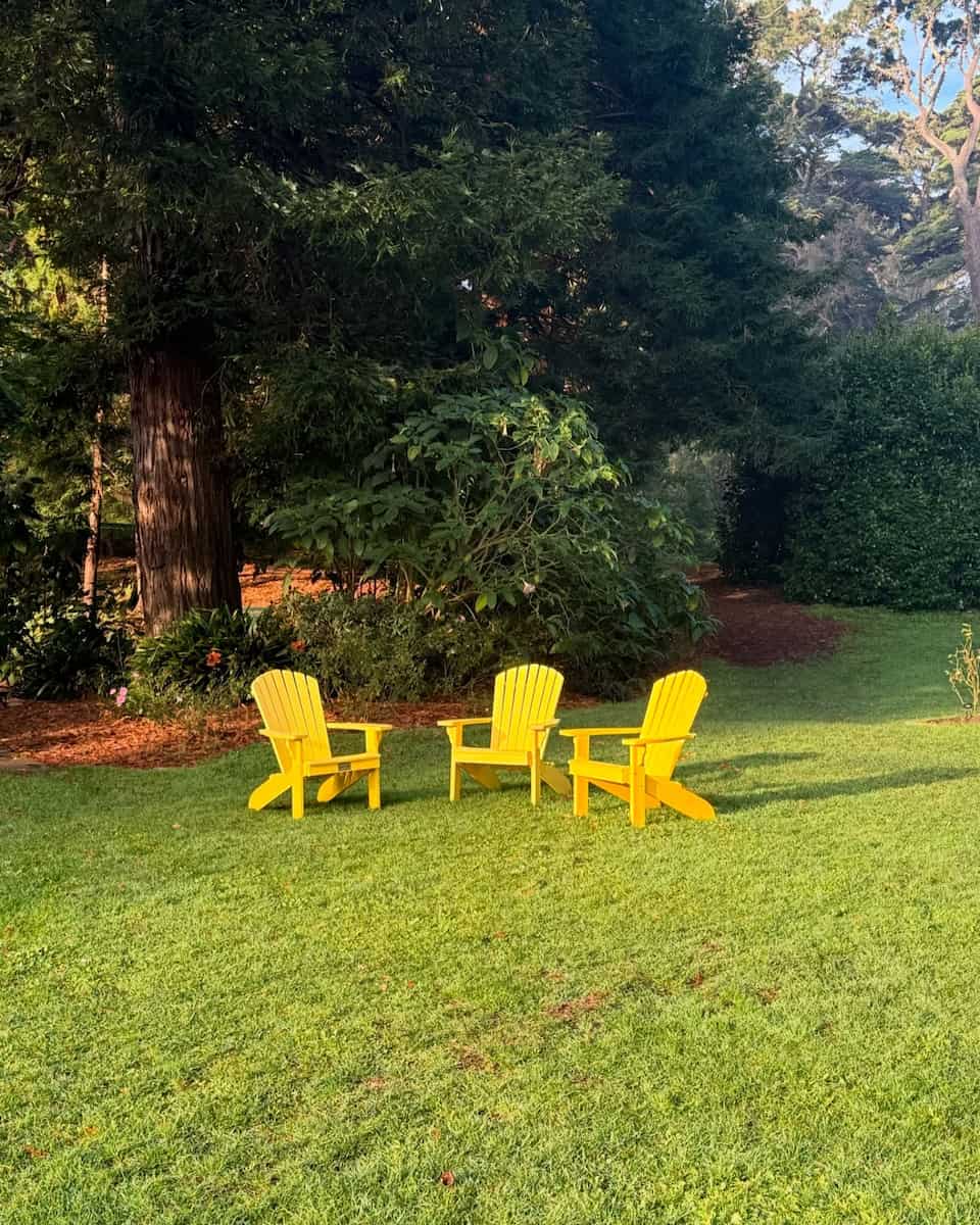 Autumn in San Francisco