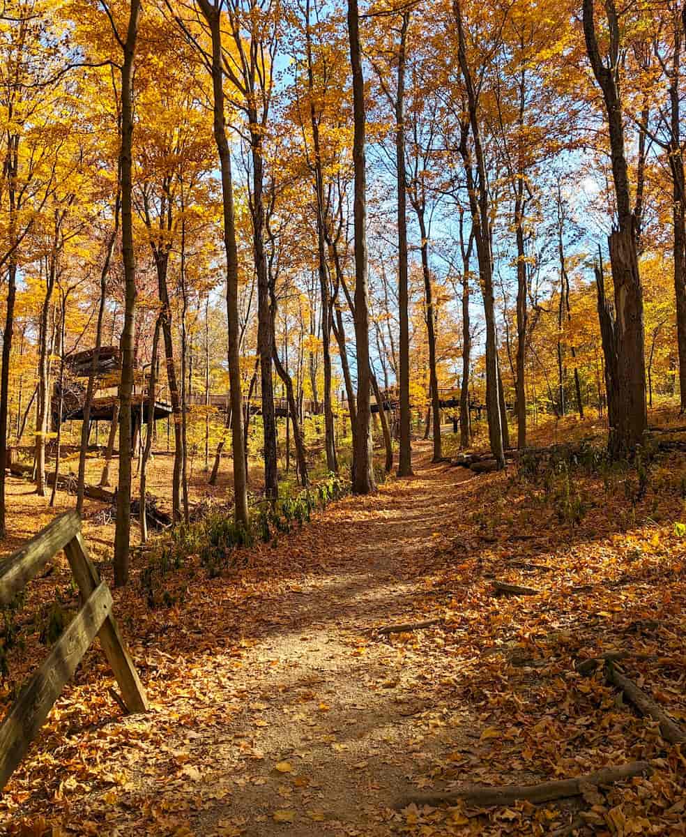 Autumn in Cincinnati