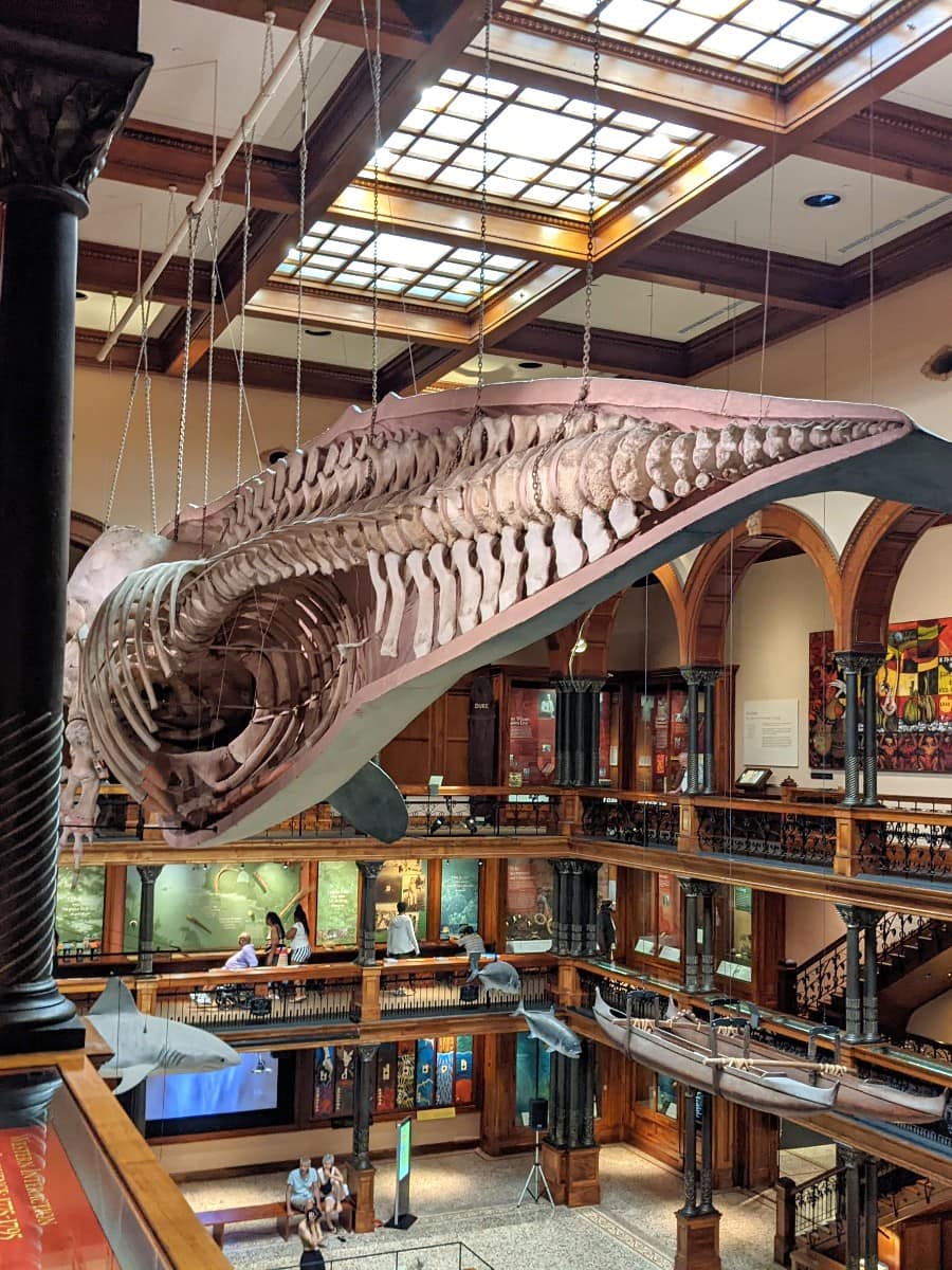 Inside of Bishop Museum, Hawaii