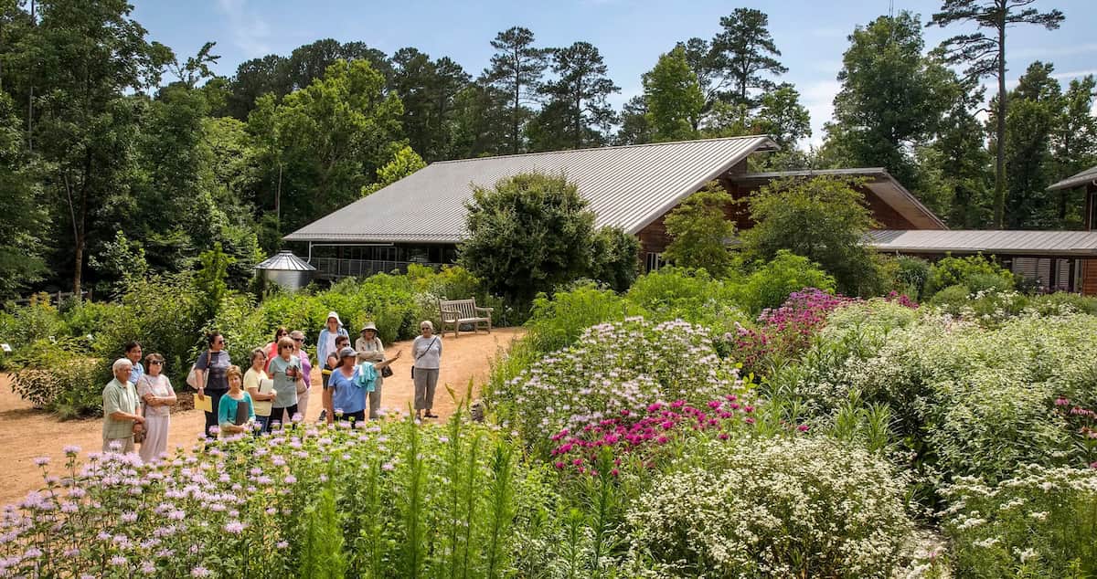 Bog Garden at Benjamin Park, Greensboro