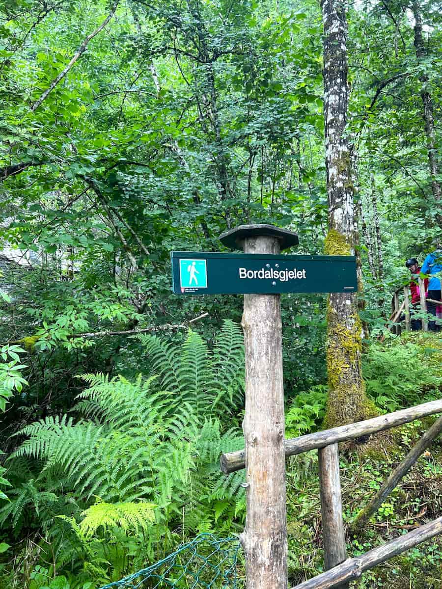 Bordalsgjelet Gorge, Voss