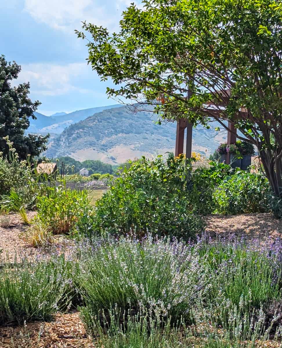 Botanic Gardens, Colorado