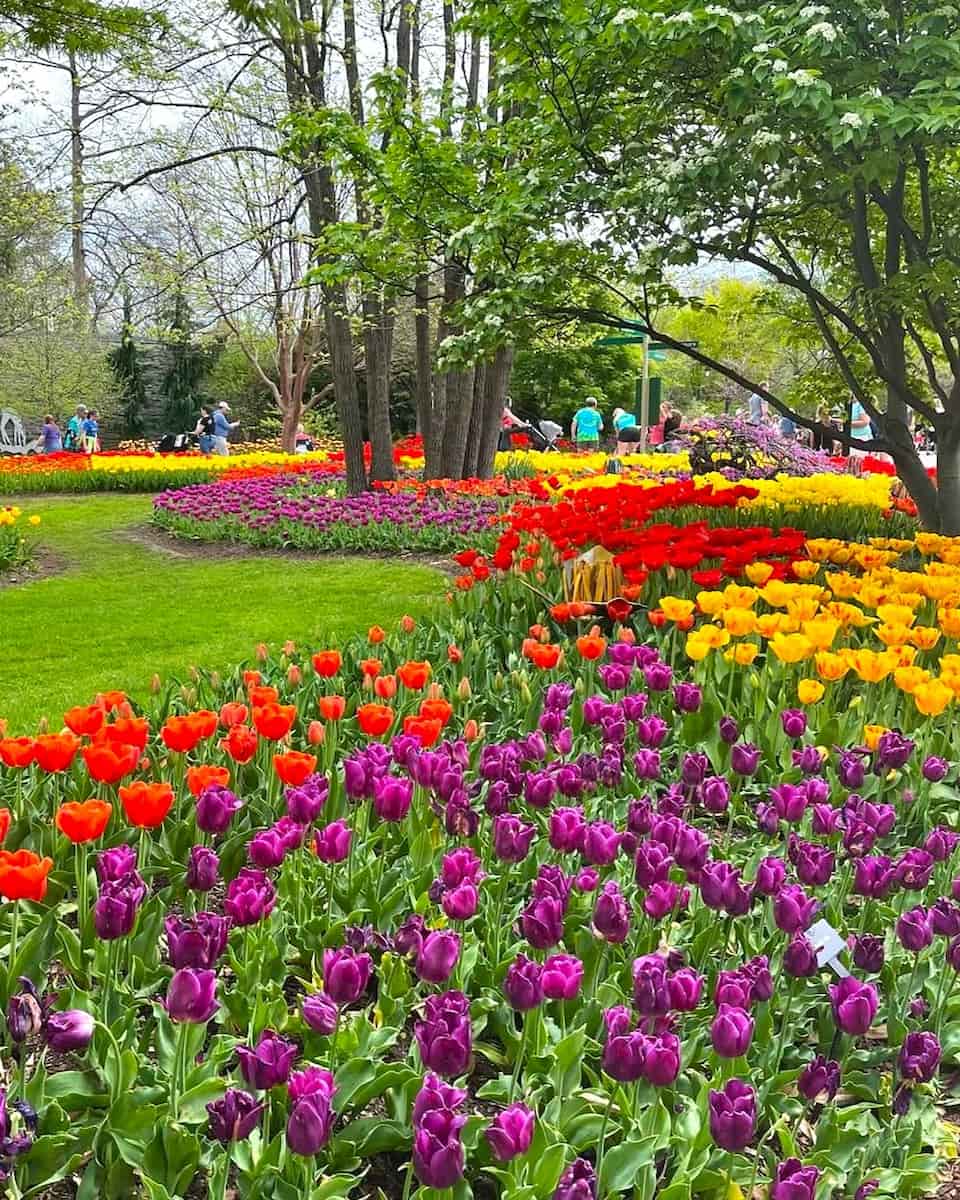 Botanical Garden, Cincinnati