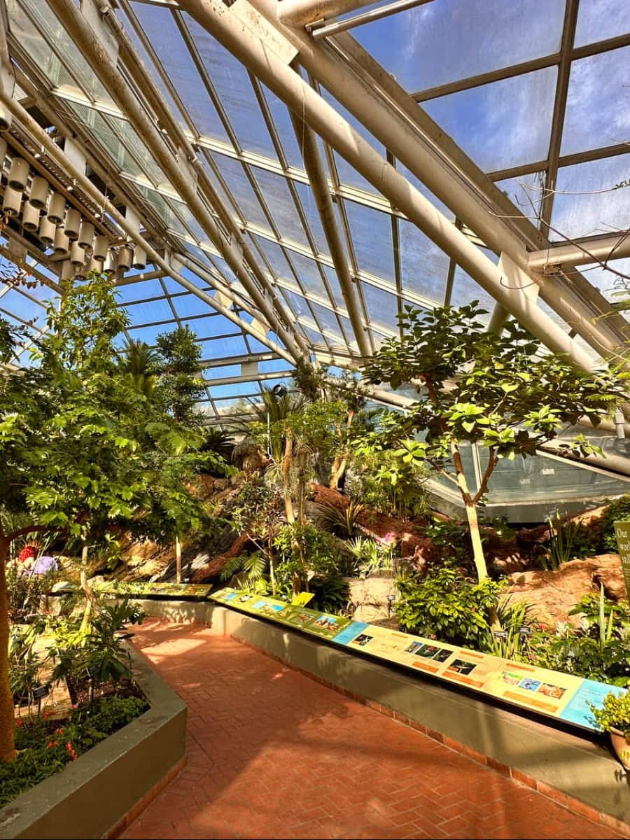 Inside of Brooklyn Botanic Garden, NYC