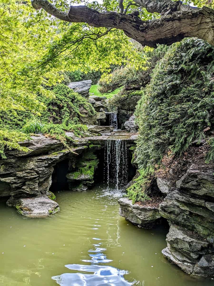 Inside of Brooklyn Botanic Garden, NYC