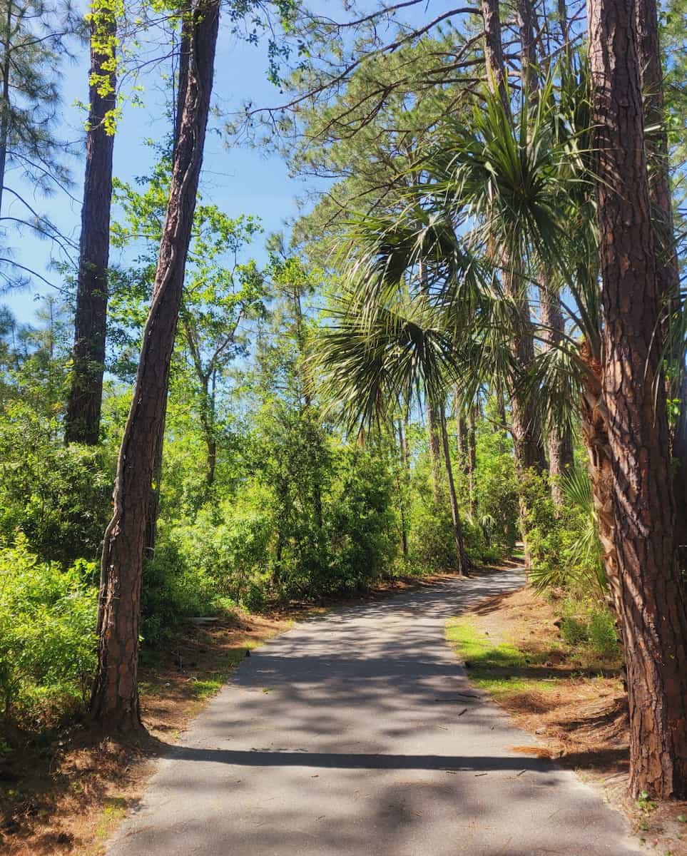 Burkes Beach, Hilton Head Island