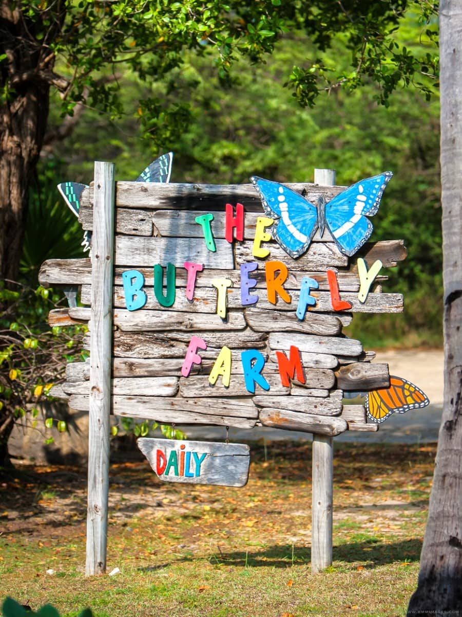 Butterfly Farm Aruba, Aruba