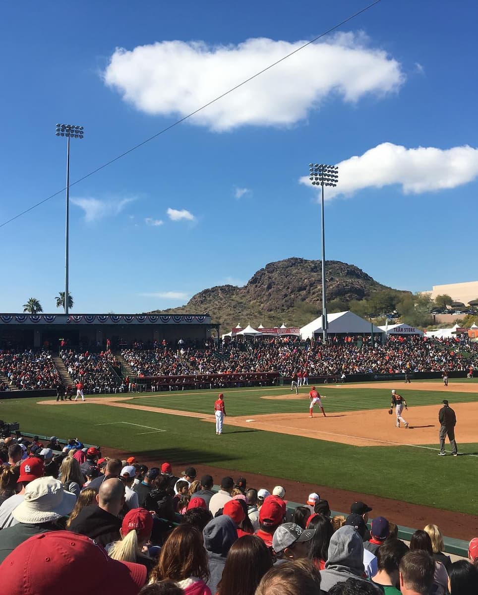 Cactus League Spring Training