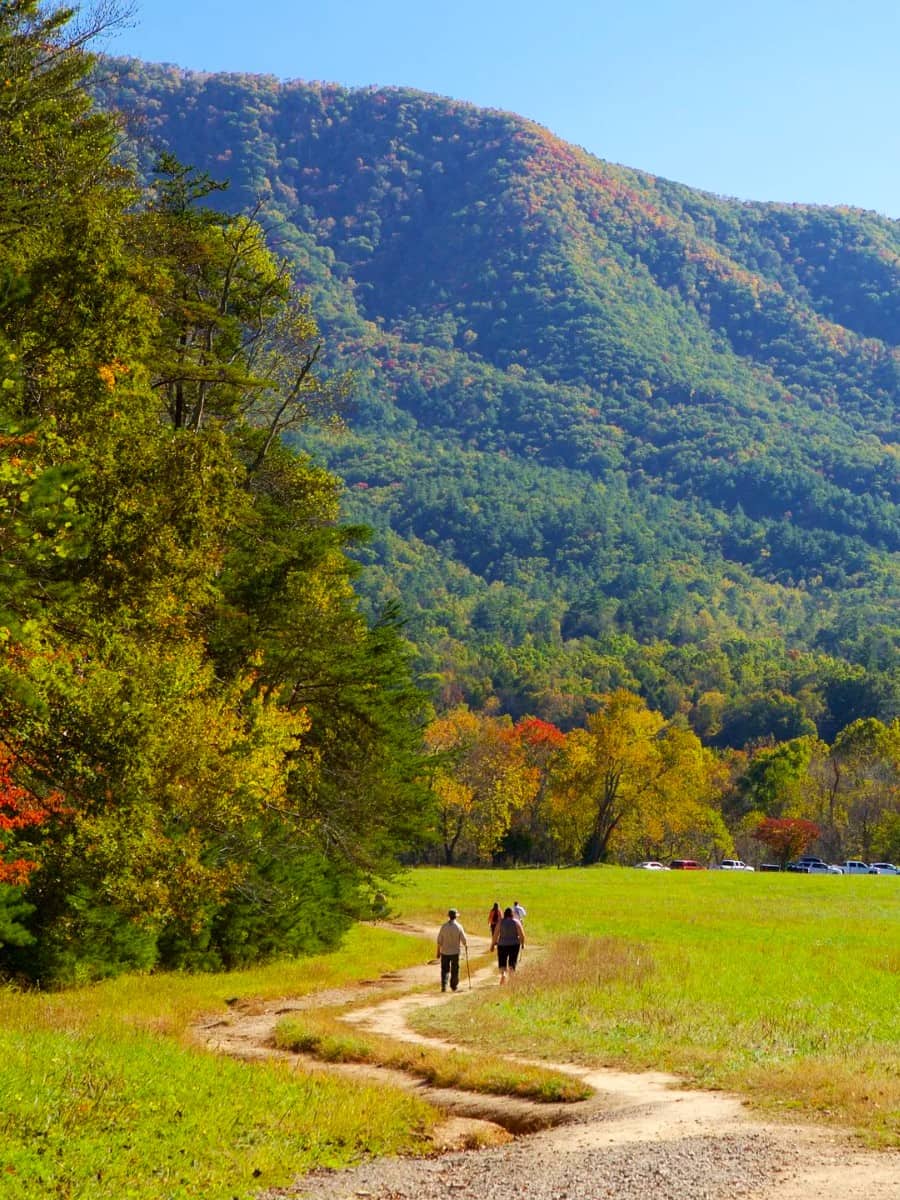 Cades Cove, Tennessee