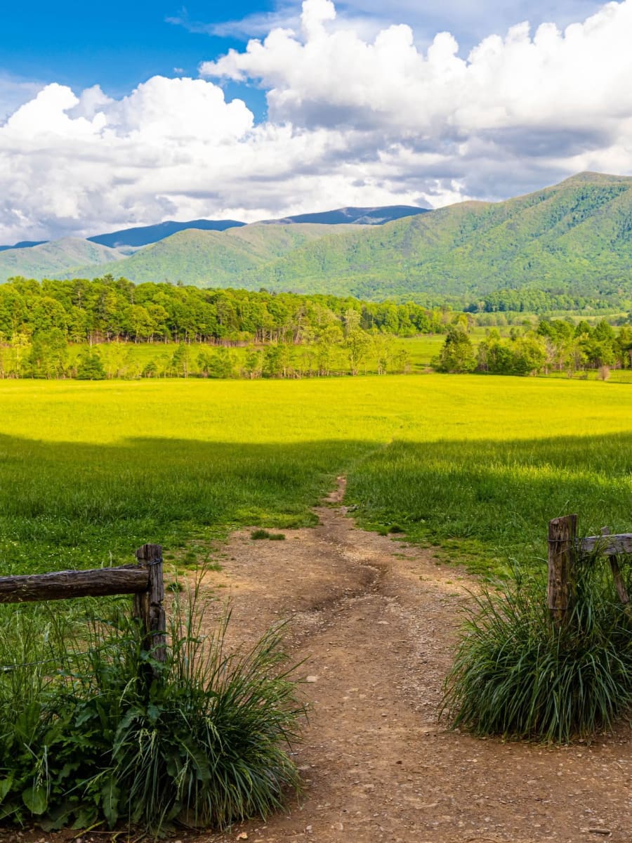 Cades Cove, Tennessee