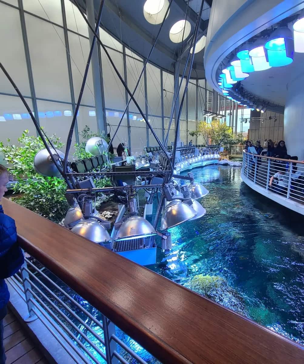 California Academy of Sciences, San Francisco