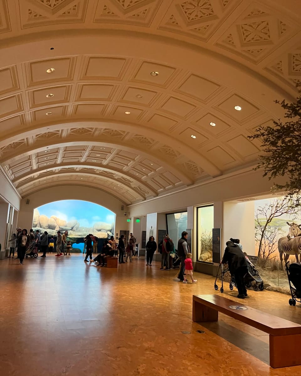 California Academy of Sciences, San Francisco