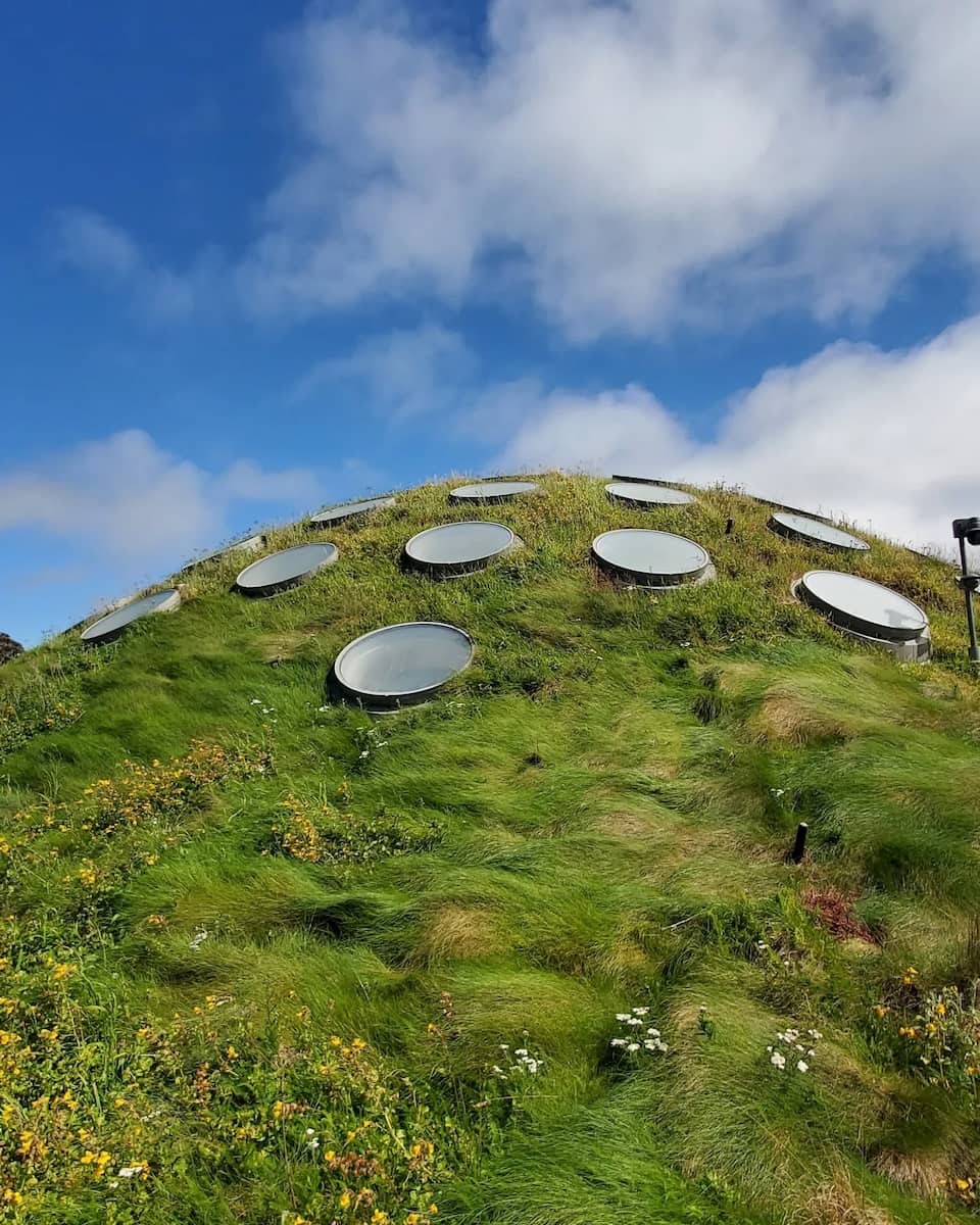 California Academy of Sciences, San Francisco