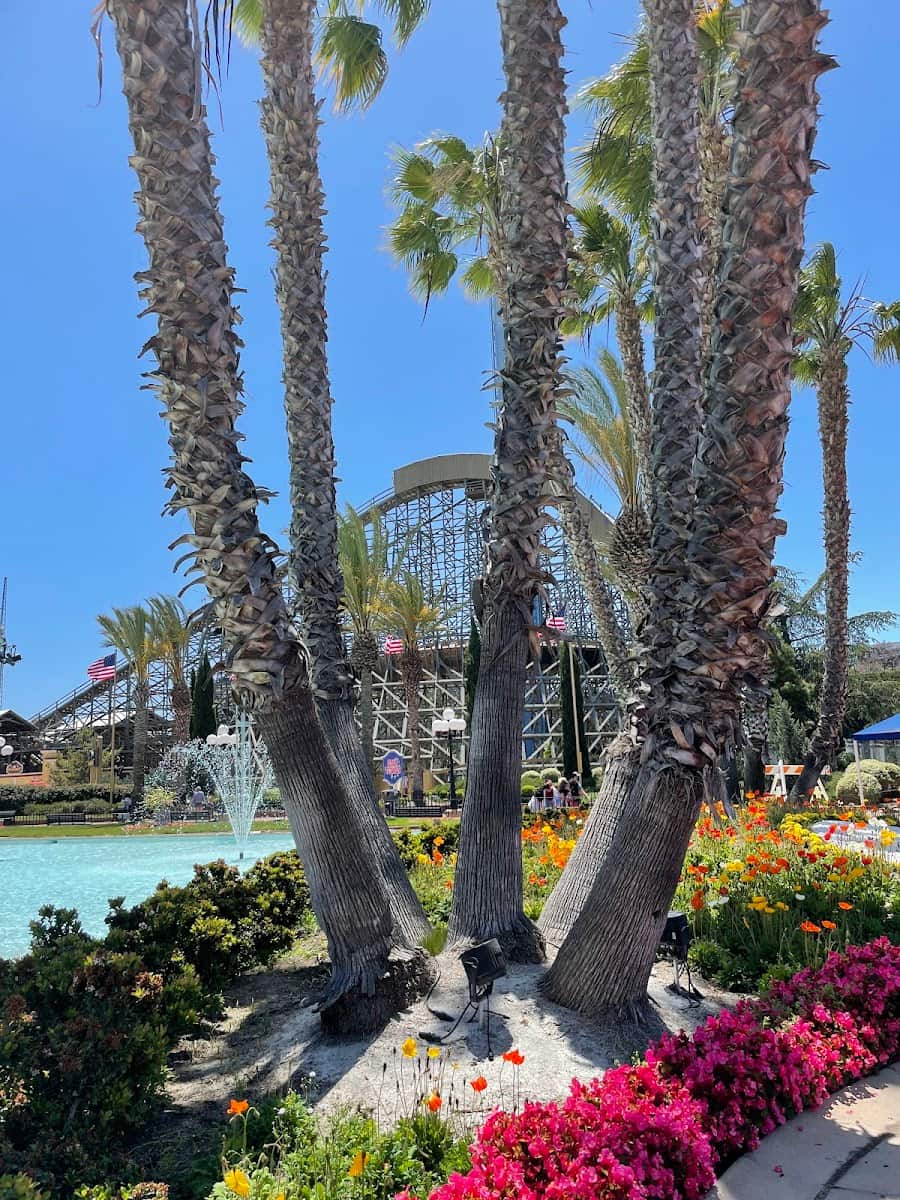 California's Great America, California