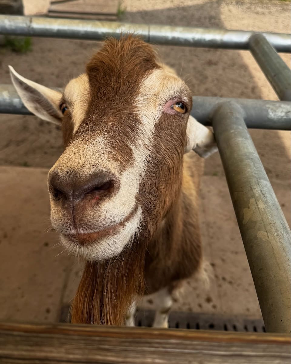 Cape May County Park & Zoo