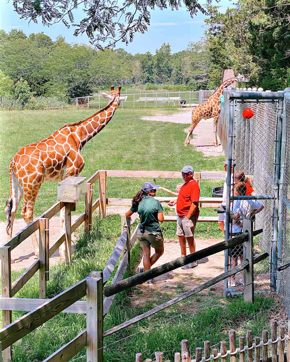 Cape May County Park & Zoo