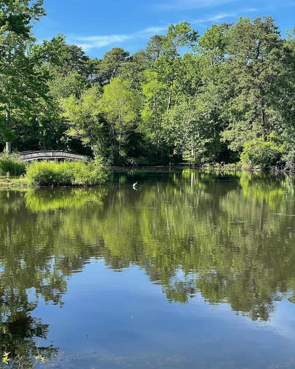 Cape May County Park & Zoo