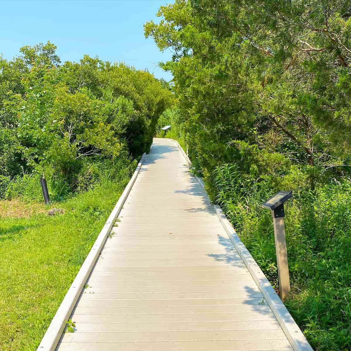 Cape May Point State Park