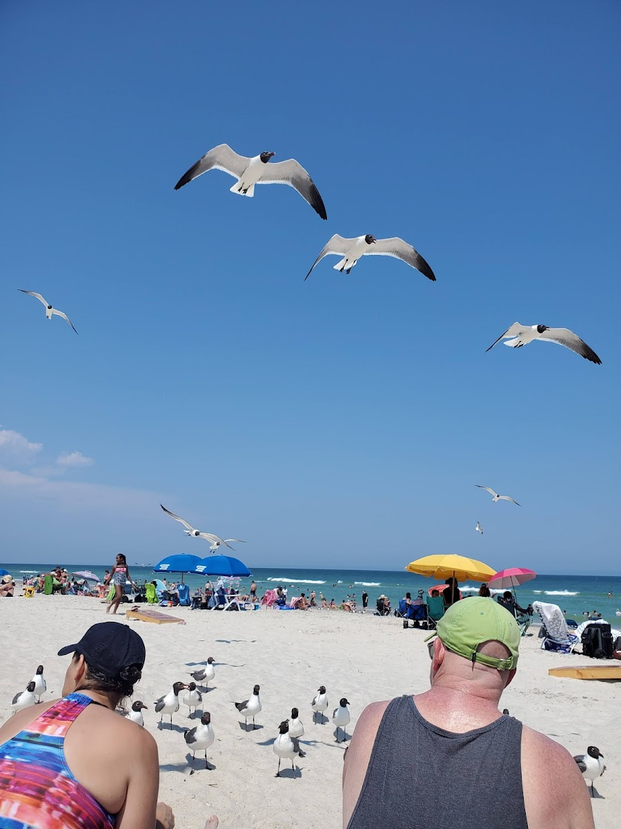 Carolina Beach Boardwalk, Wilmington