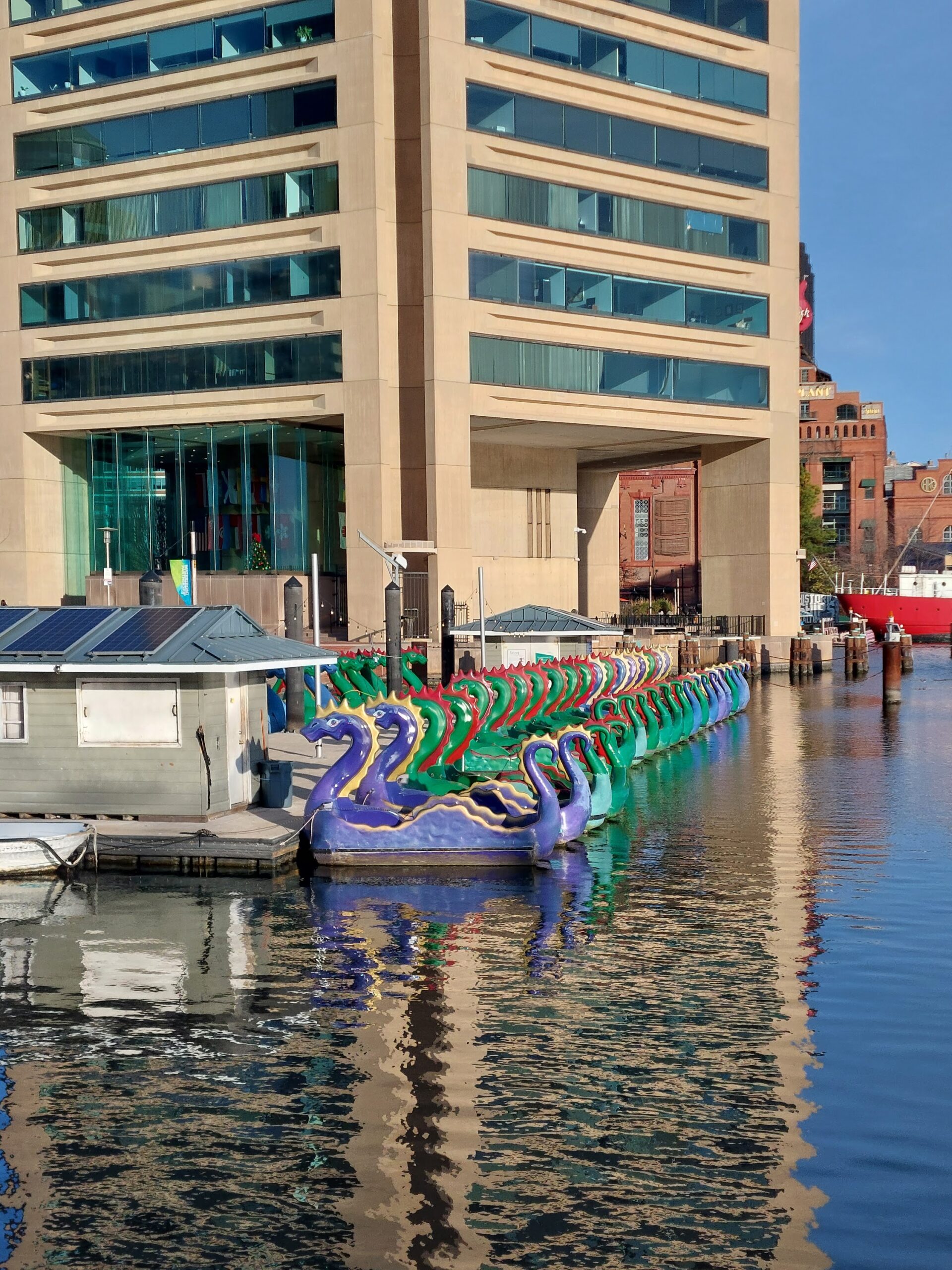 Chessie Dragon Paddleboats, Baltimore