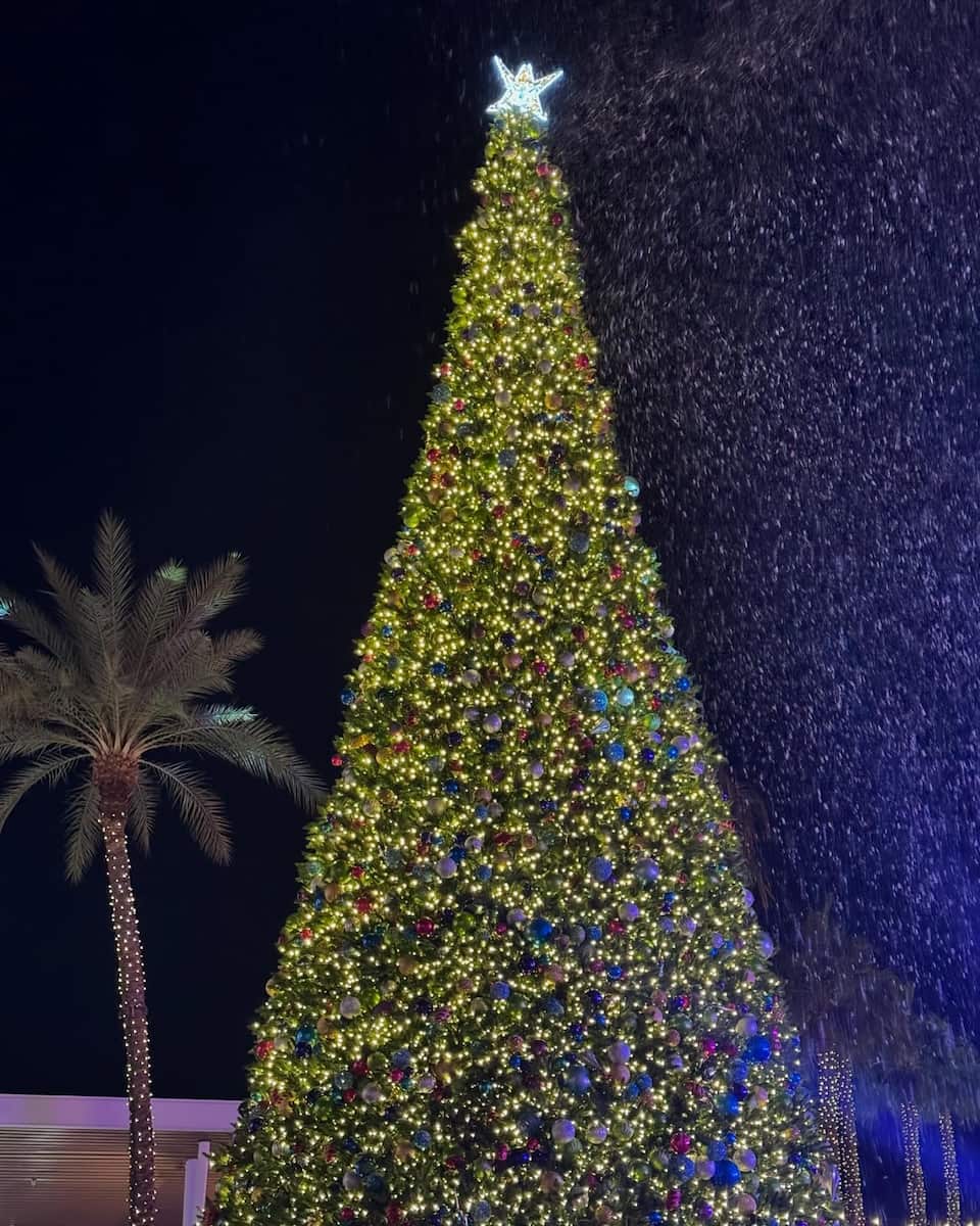 Christmas in Phoenix