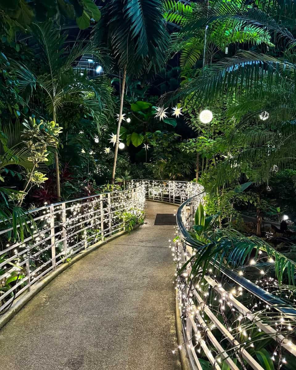 Christmas in Cincinnati