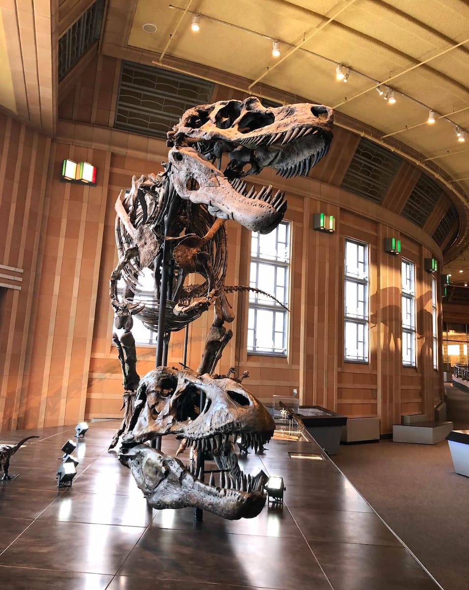 Cincinnati Museum, Center