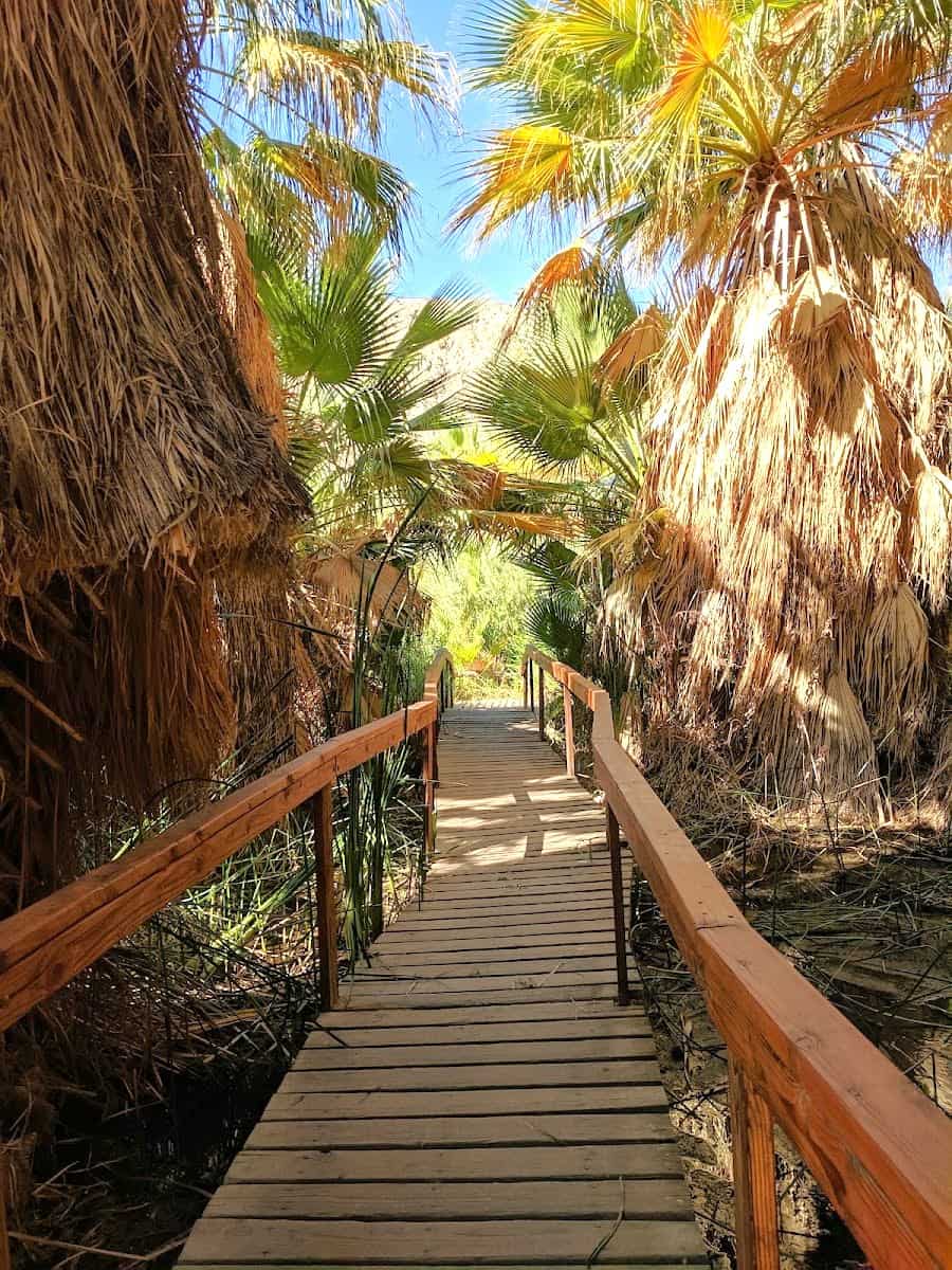 Coachella Valley Preserve, Palm Springs