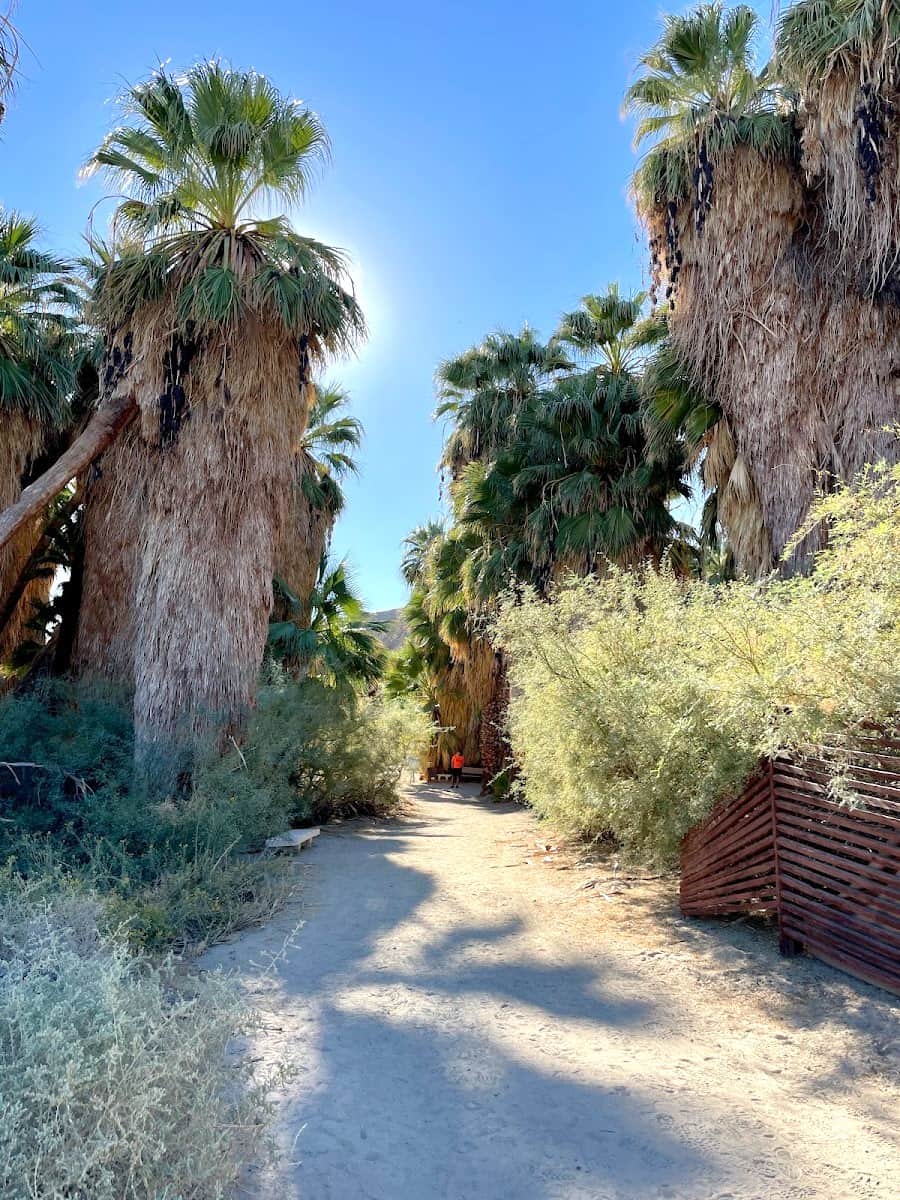 Coachella Valley Preserve, Palm Springs