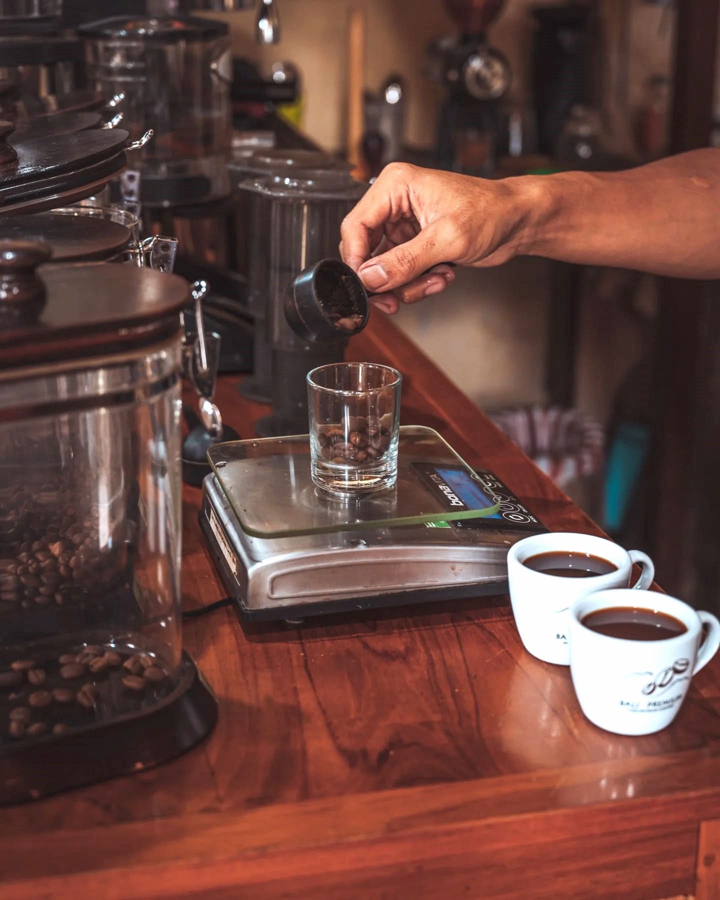 Coffee Plantation Tour Puerto Rico