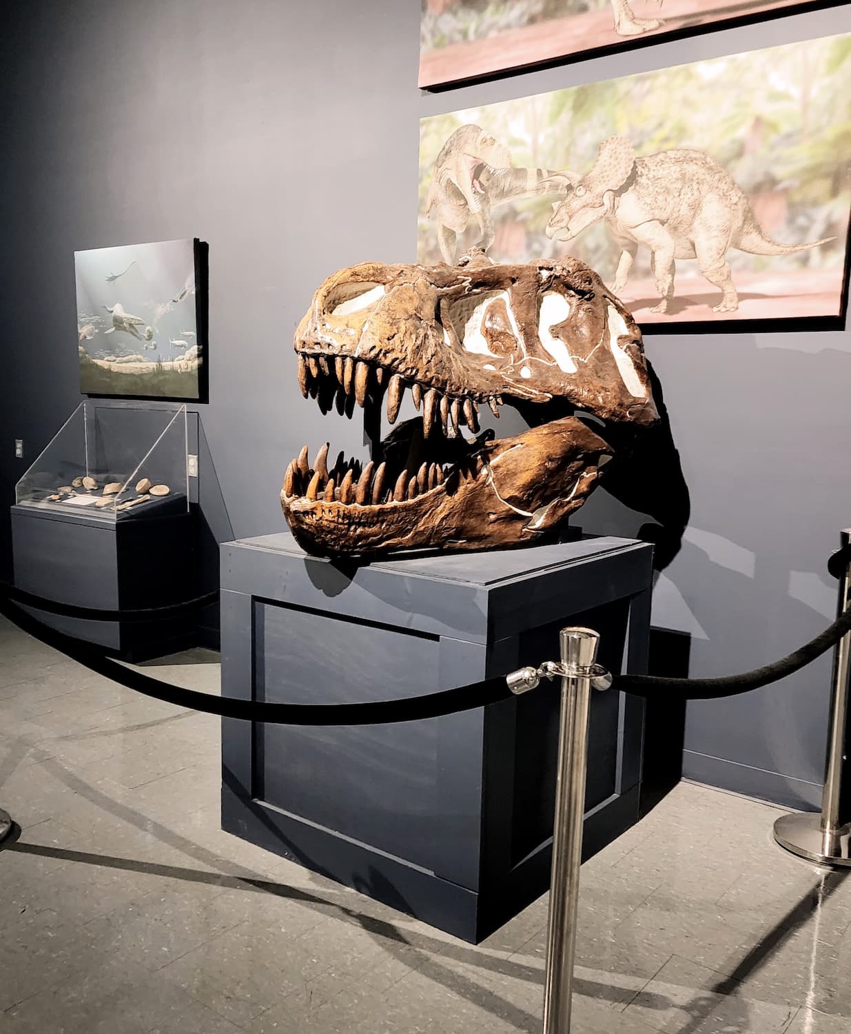 Corpus Christi Museum of Science and History