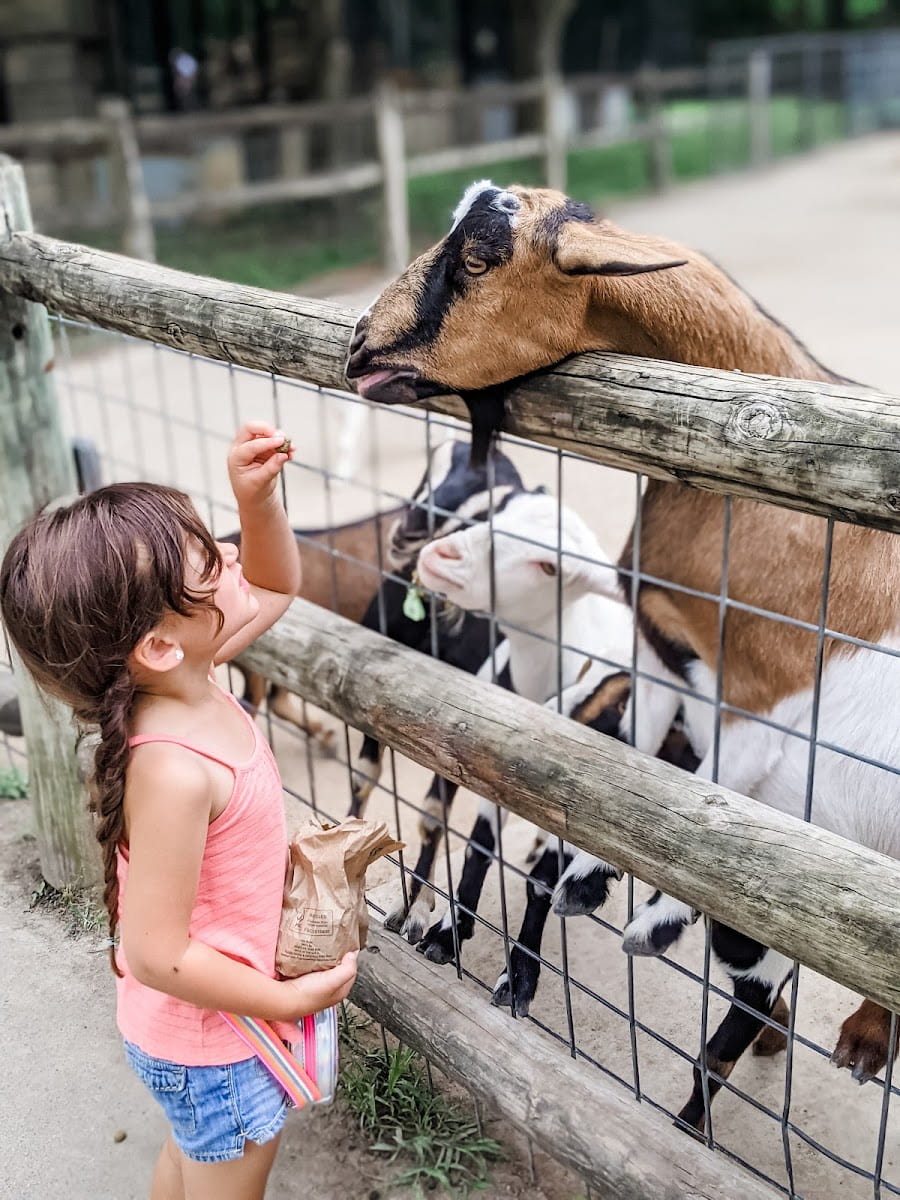 Deanna Rose Children’s Farmstead, Kansas City