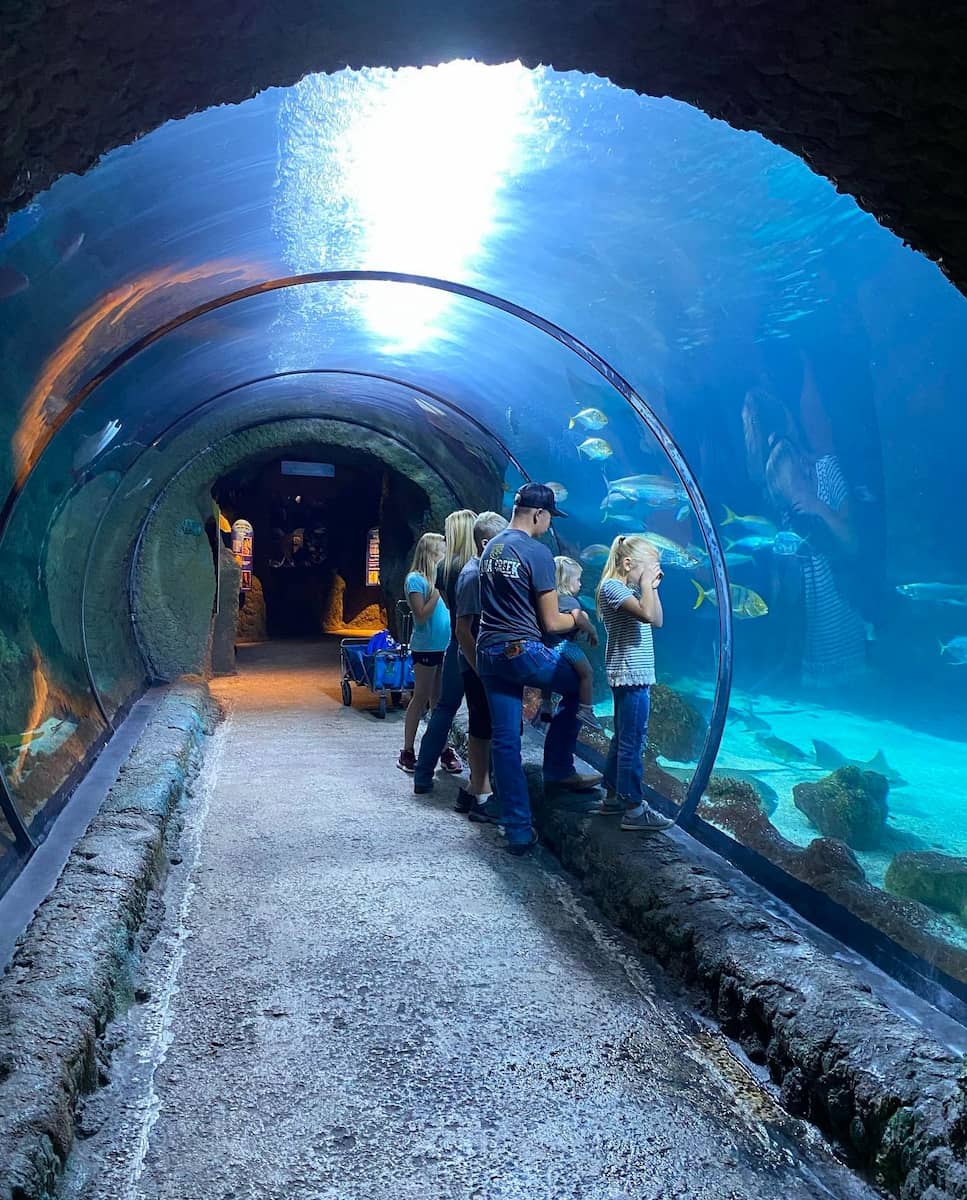 Denver Aquarium, Colorado