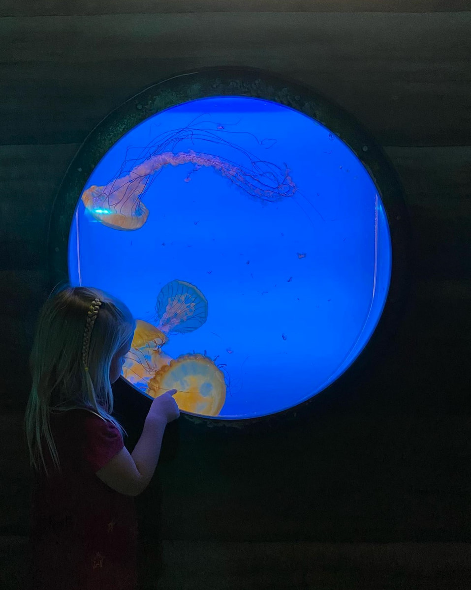 Denver Aquarium, Colorado