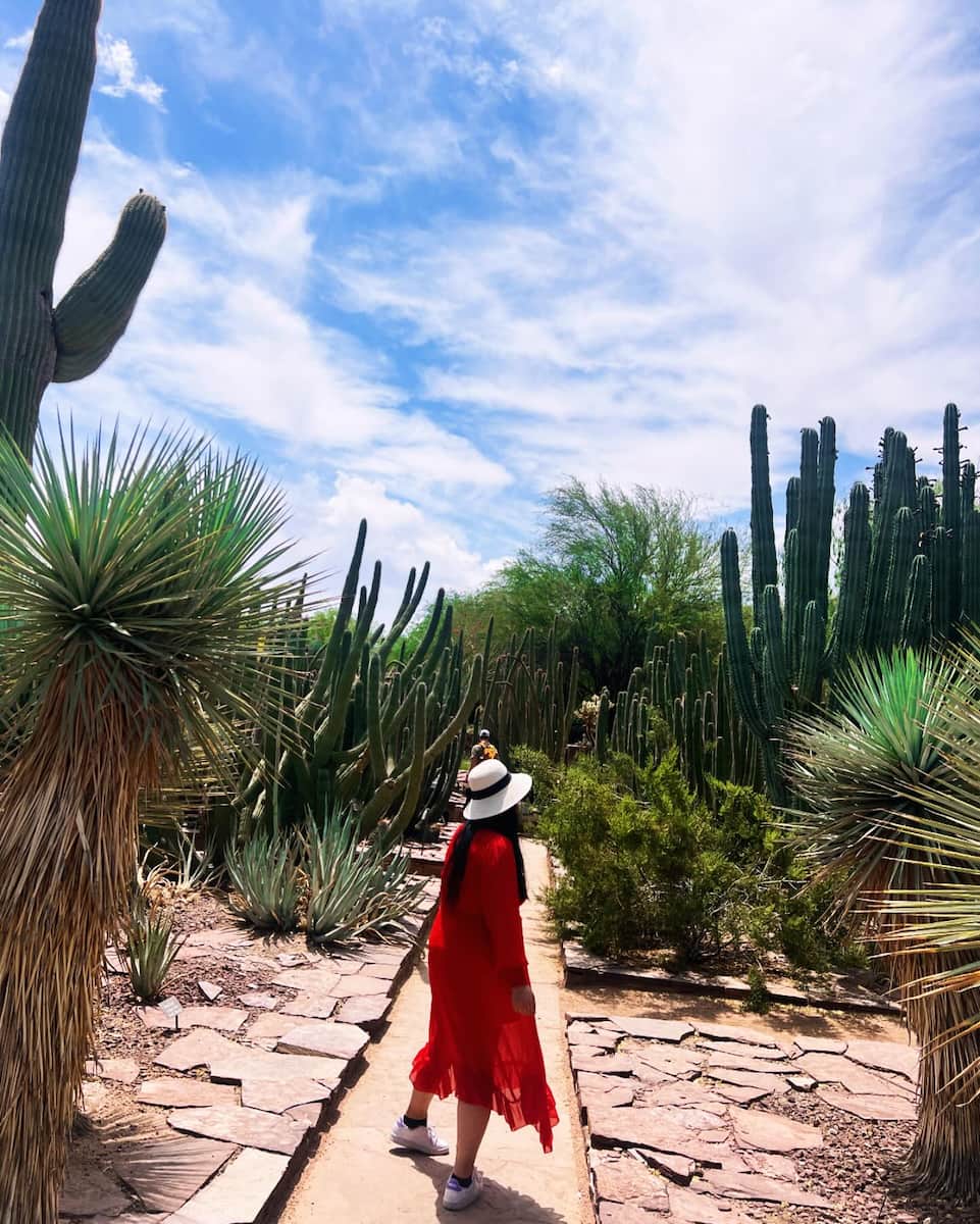 Desert Botanical Garden, Arizona