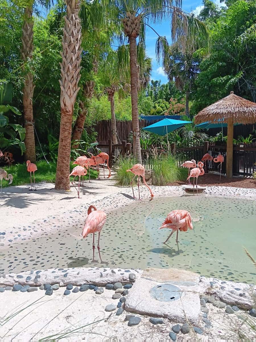 Discovery Cove, Orlando, Florida