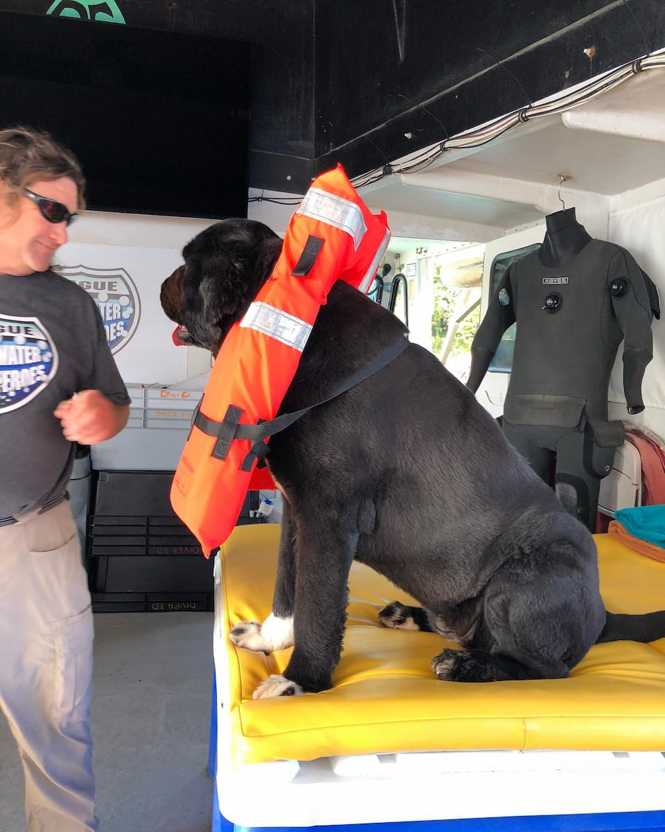 Diver Ed’s Dive-In Theatre, Bar Harbor