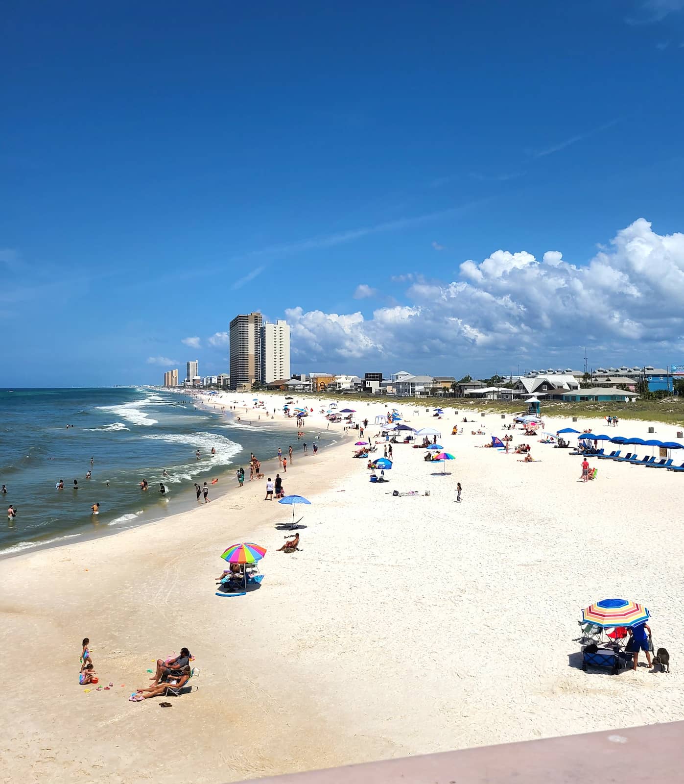 Dog Beach at Pier Park, Panama City Beach