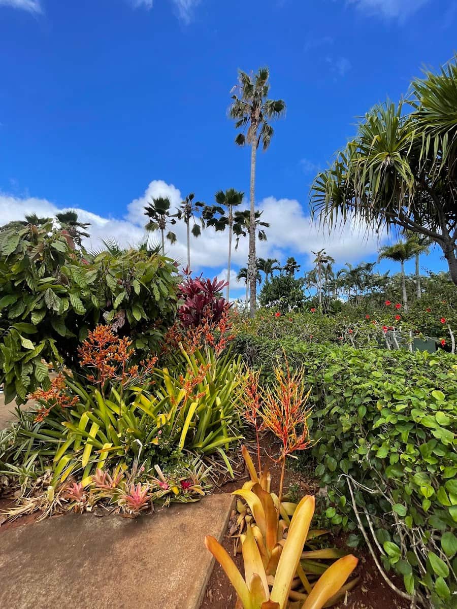 Dole Plantation, Hawaii
