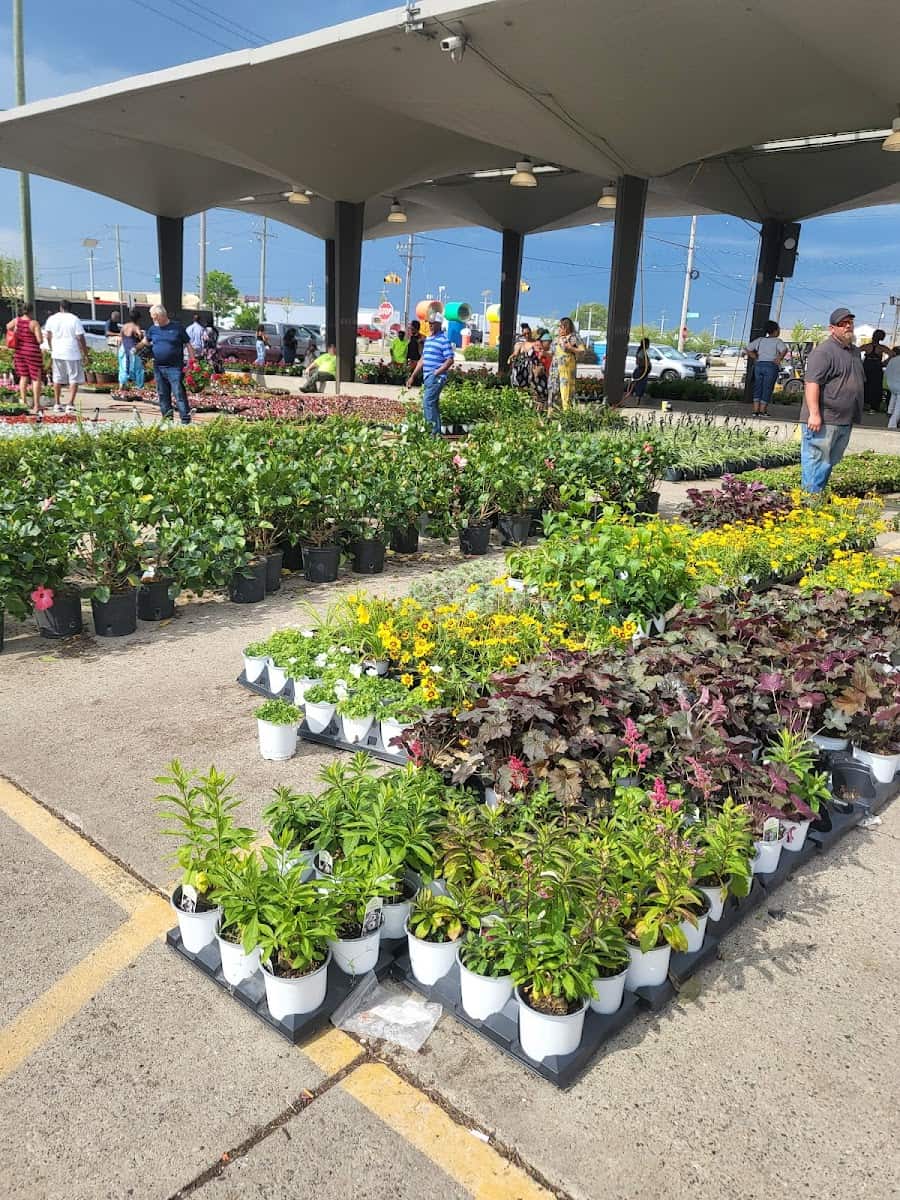 Eastern Market Flower Day, Detroit