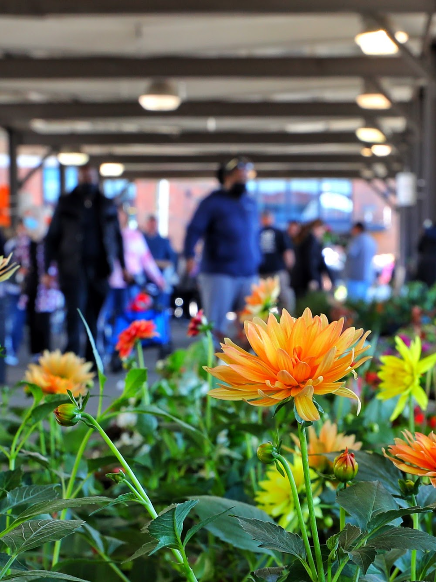Eastern Market Flower Day, Detroit