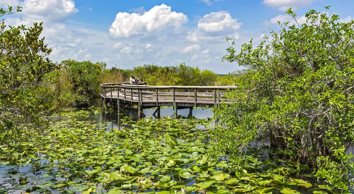 Everglades National Park FL